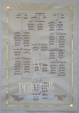 ÁRBOL GENEALÓGICO / ARBRE GENEALOGIC, ESQUEMATIZADO Y RIBETEADO